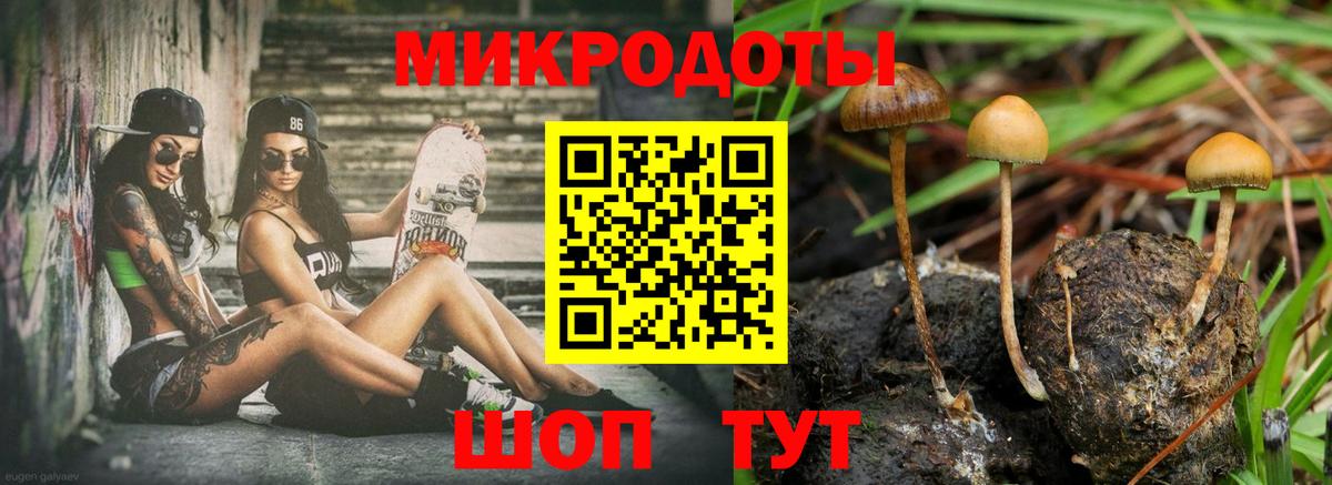 Псилоцибиновые грибы мухоморы  Псилоцибиновые грибы ЛСД  Екатеринбург  Вход с VPN 