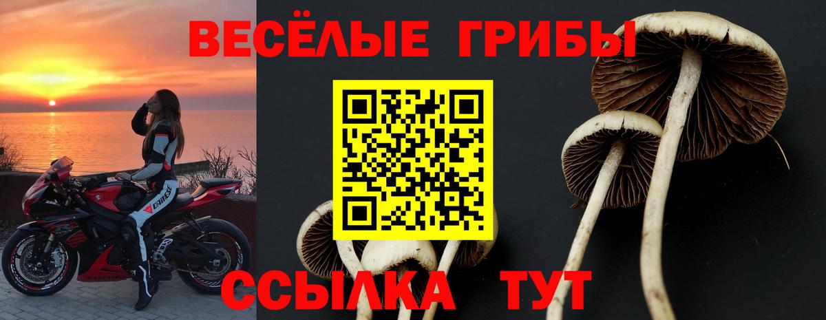 Псилоцибиновые грибы Psilocybe Екатеринбург